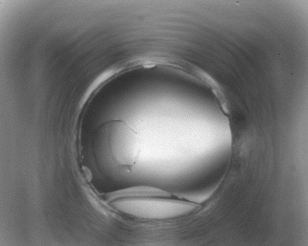 X0000082171146200701262353