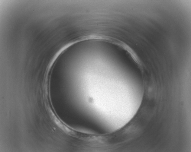 X0000082171148200701262353