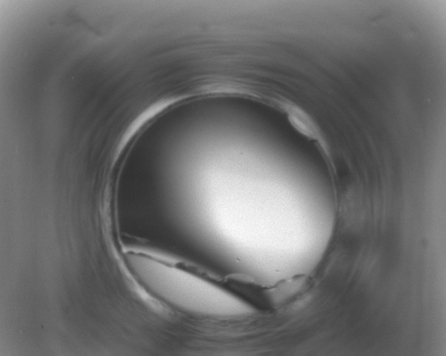 X0000082171149200701262353