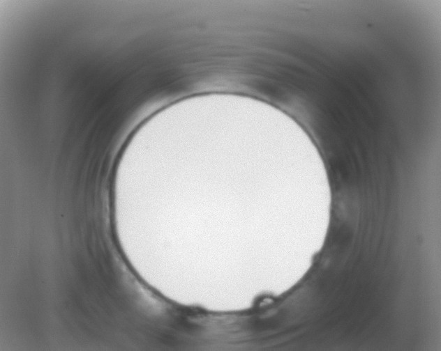 X0000082171150200701262353