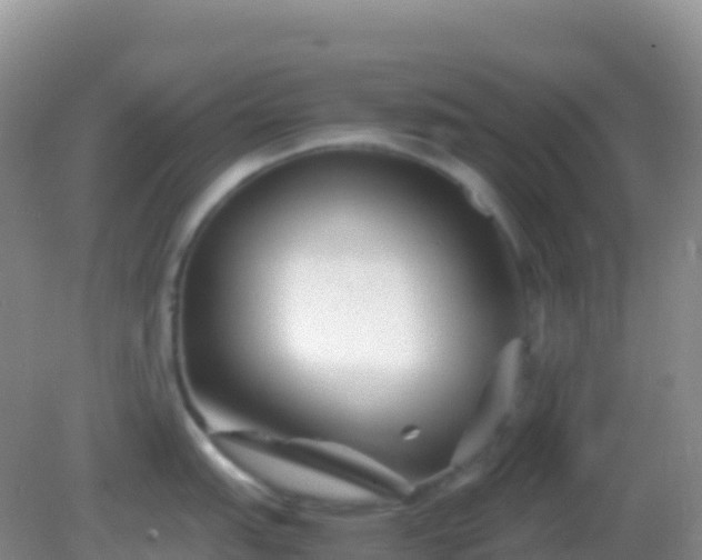 X0000082171151200701262353