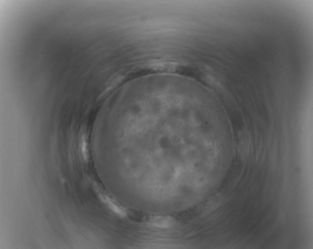 X0000082171154200701262353