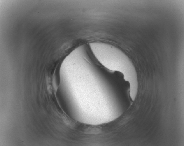 X0000082171156200701262352