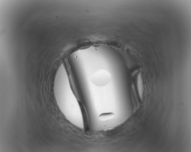 X0000082171157200701262352