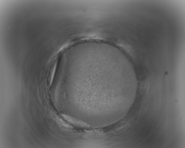 X0000082171159200701262352