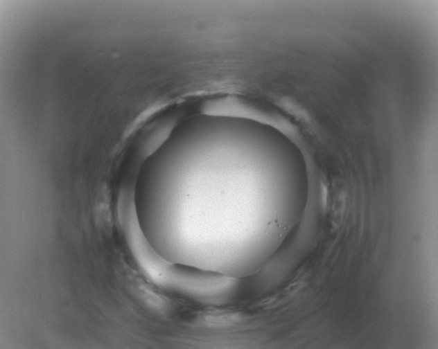 X0000082171160200701262352