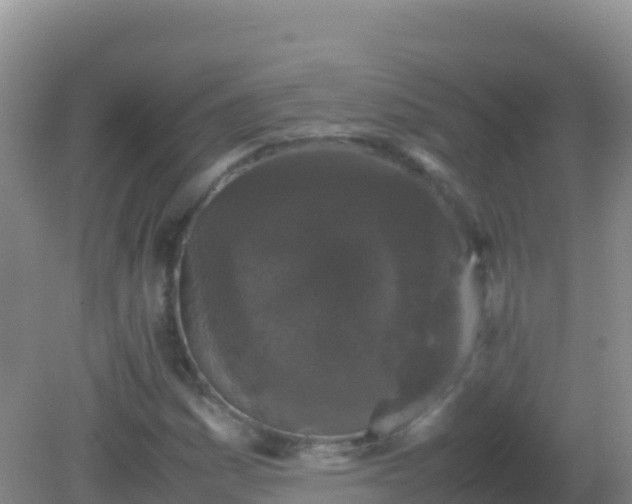 X0000082171161200701262352