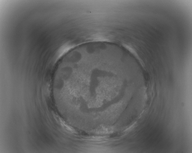 X0000082171163200701262352