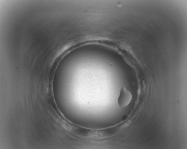 X0000082171165200701262352