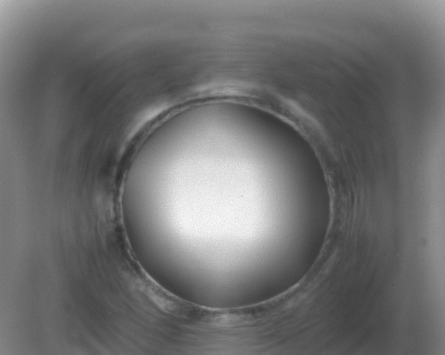 X0000082171166200701262352