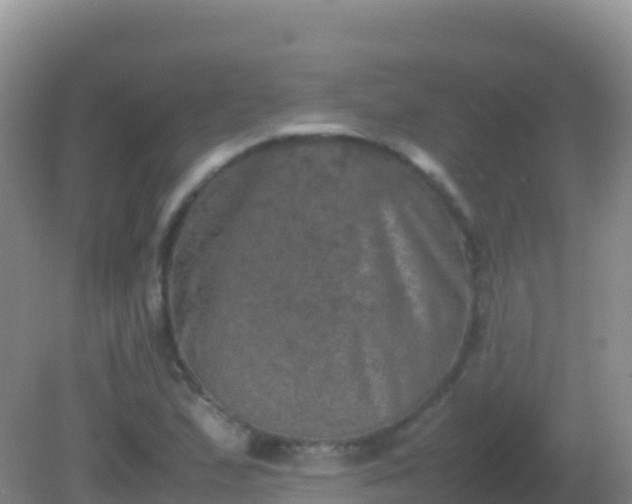 X0000082171167200701262352