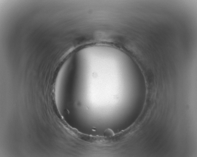 X0000082171169200701262352