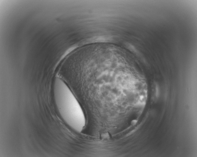 X0000082171170200701262352