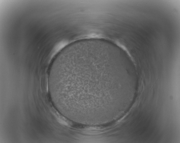 X0000082171171200701262352