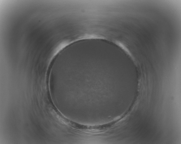 X0000082171173200701262352