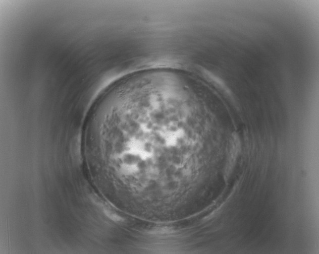 X0000082171174200701262352