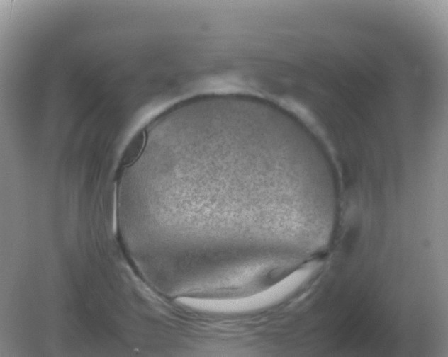 X0000082171175200701262352