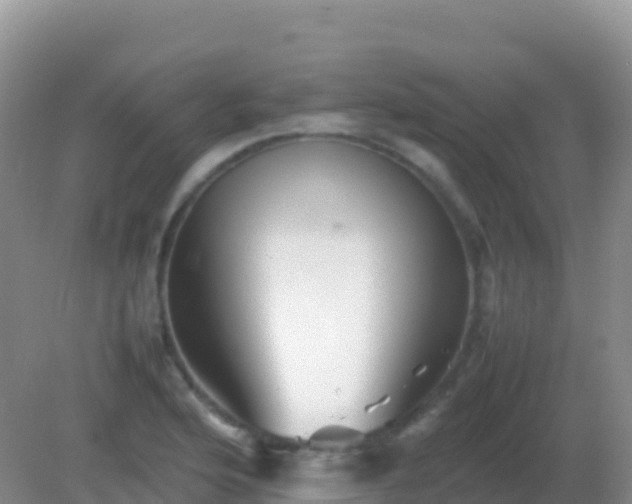 X0000082171176200701262352