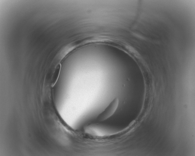 X0000082171177200701262352