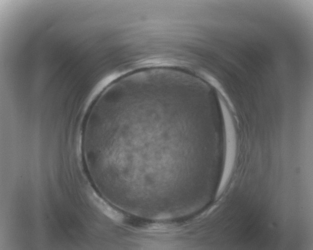 X0000082171179200701262352