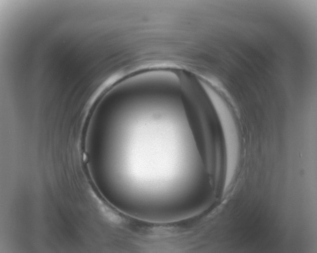 X0000082171181200701262352