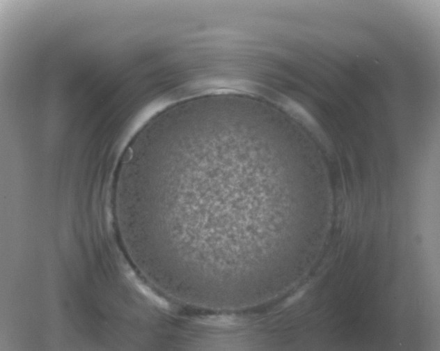 X0000082171182200701262352