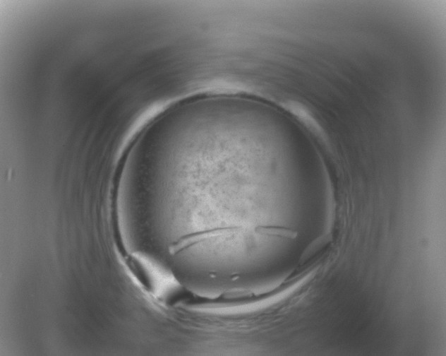 X0000082171183200701262352