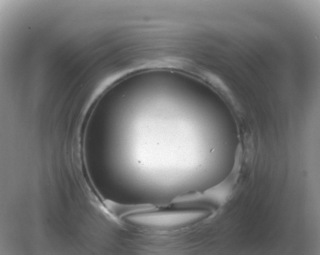 X0000082171184200701262352