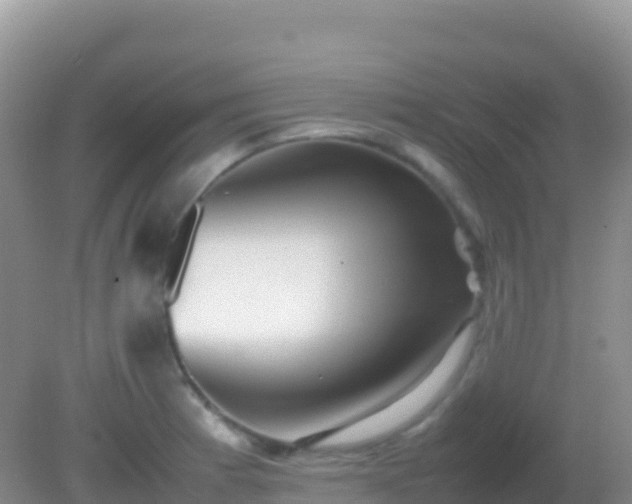 X0000082171185200701262352