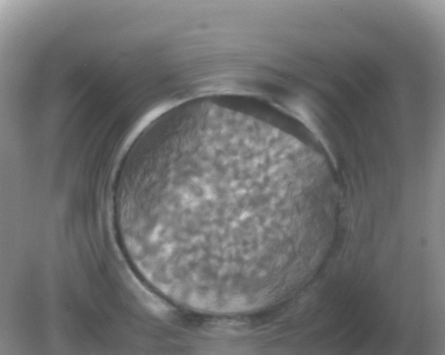 X0000082171187200701262352