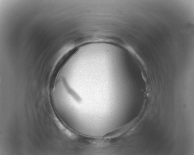 X0000082171189200701262352