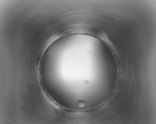 X0000082171190200701262352