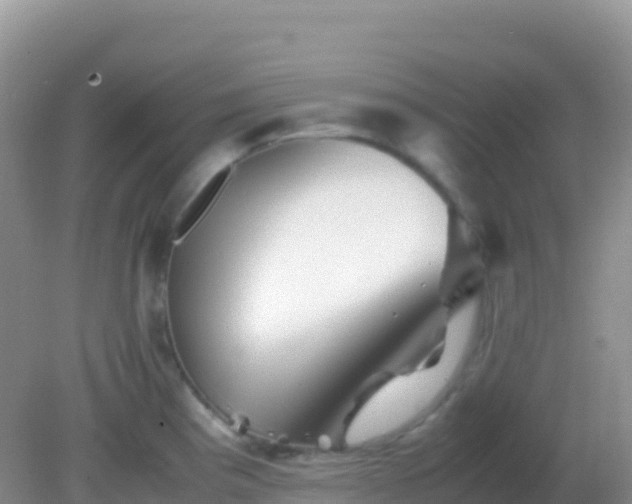 X0000082171193200701262352