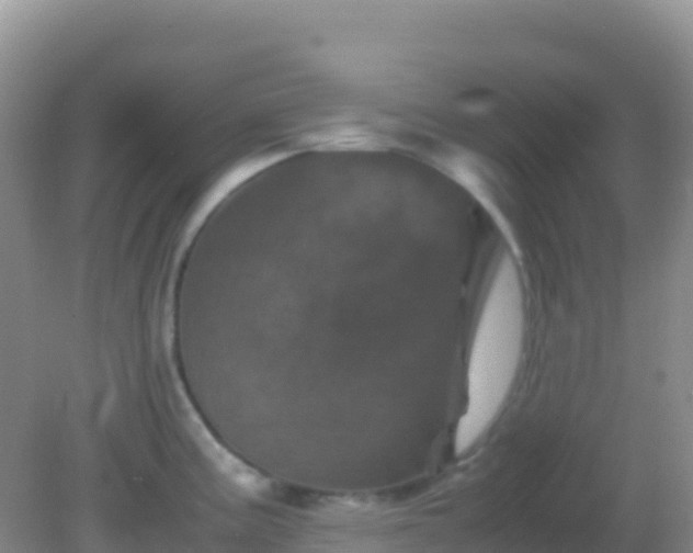 X0000082171195200701262352