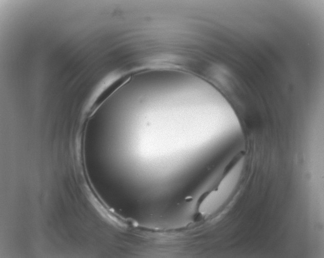 X0000082171196200701262352