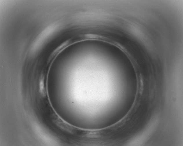 X0000082171198200701262352