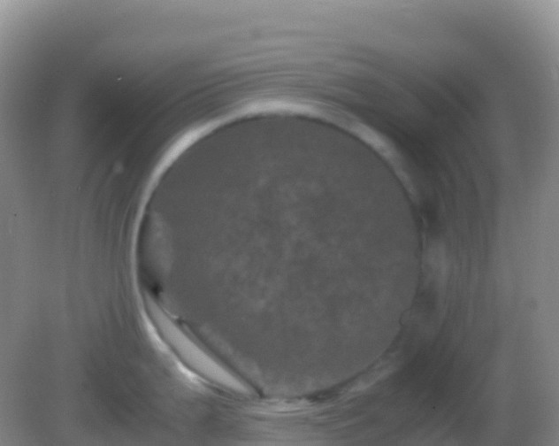 X0000082171199200701262352