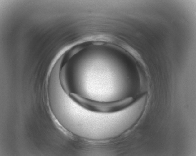 X0000082171200200701262352