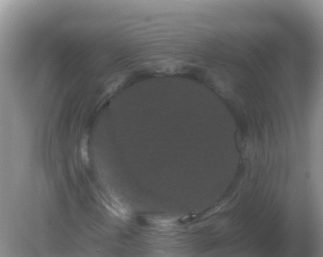 X0000082171202200701262351