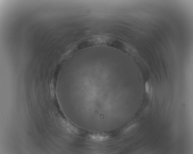 X0000082171203200701262351