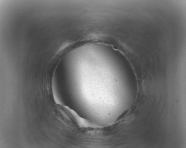 X0000082171206200701262351