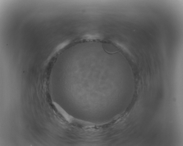 X0000082171207200701262351