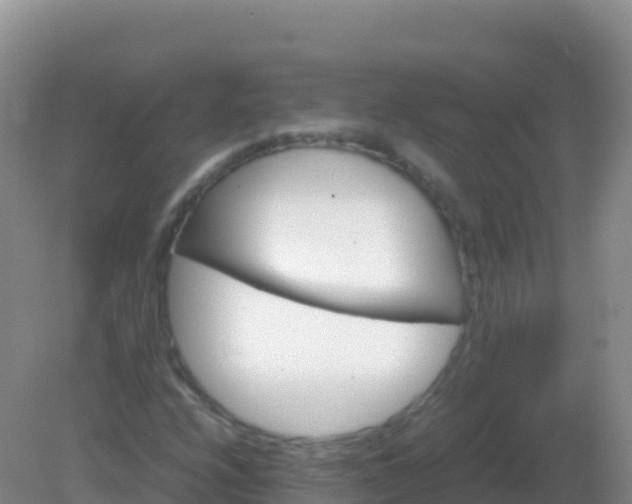 X0000082171208200701262351