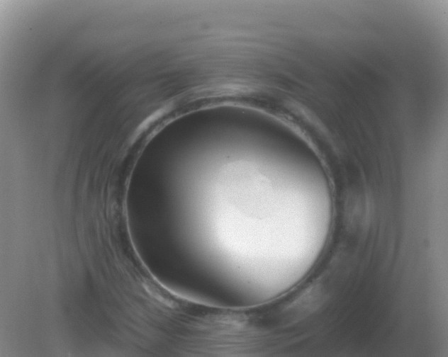 X0000082171210200701262351