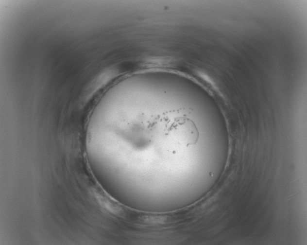 X0000082171211200701262351