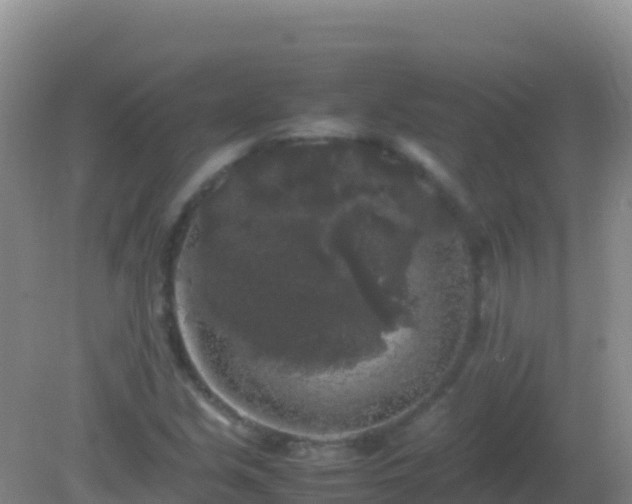 X0000082171213200701262351