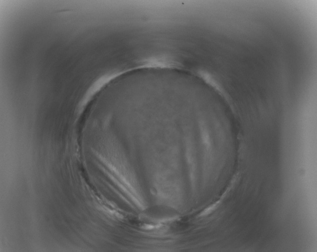 X0000082171215200701262351