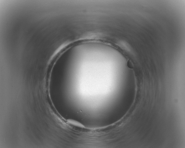 X0000082171216200701262351