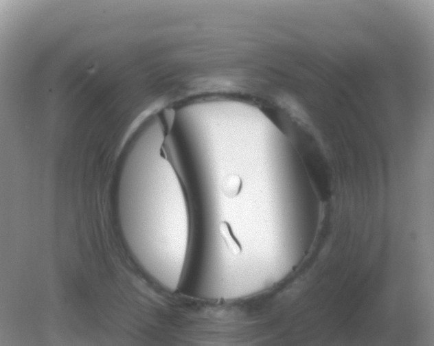 X0000082171218200701262351