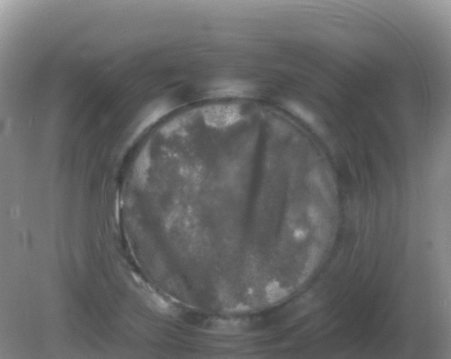 X0000082171219200701262351